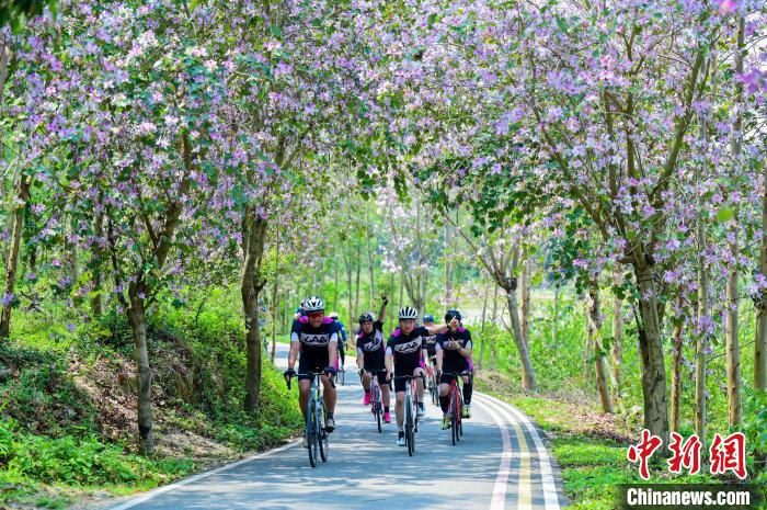 2025环粤港澳大湾区城市自行车挑战赛信宜站举行